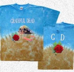 Grateful Dead Desert Skull T-Shirt