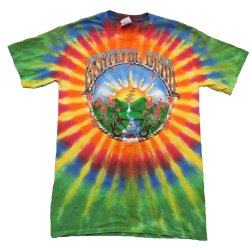 Grateful Dead Waterfall Tie Dye T-Shirt