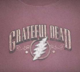 Grateful Dead Bolt T-Shirt