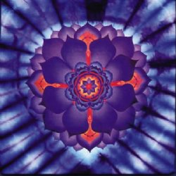 Lotus Tie-Dye T-Shirt