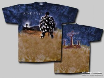 Pink Floyd Delicate Sound of Thunder Tie Dye T-Shirt